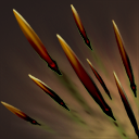 Quill Spray Quill Spray