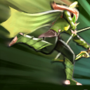Windrun Windrun