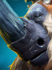 Magnus